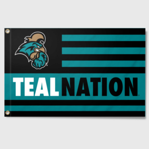 Teal Nation Flag