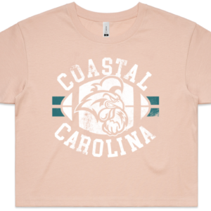 Coastal Arch Cropped Tee -Light Pink